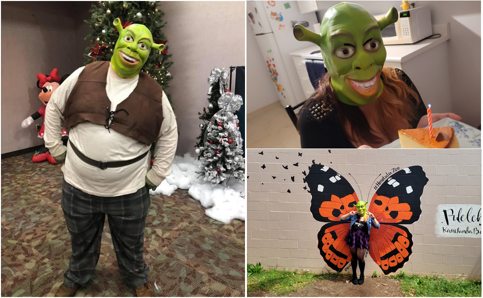 Shrek Masquerade: Make your look unique插图