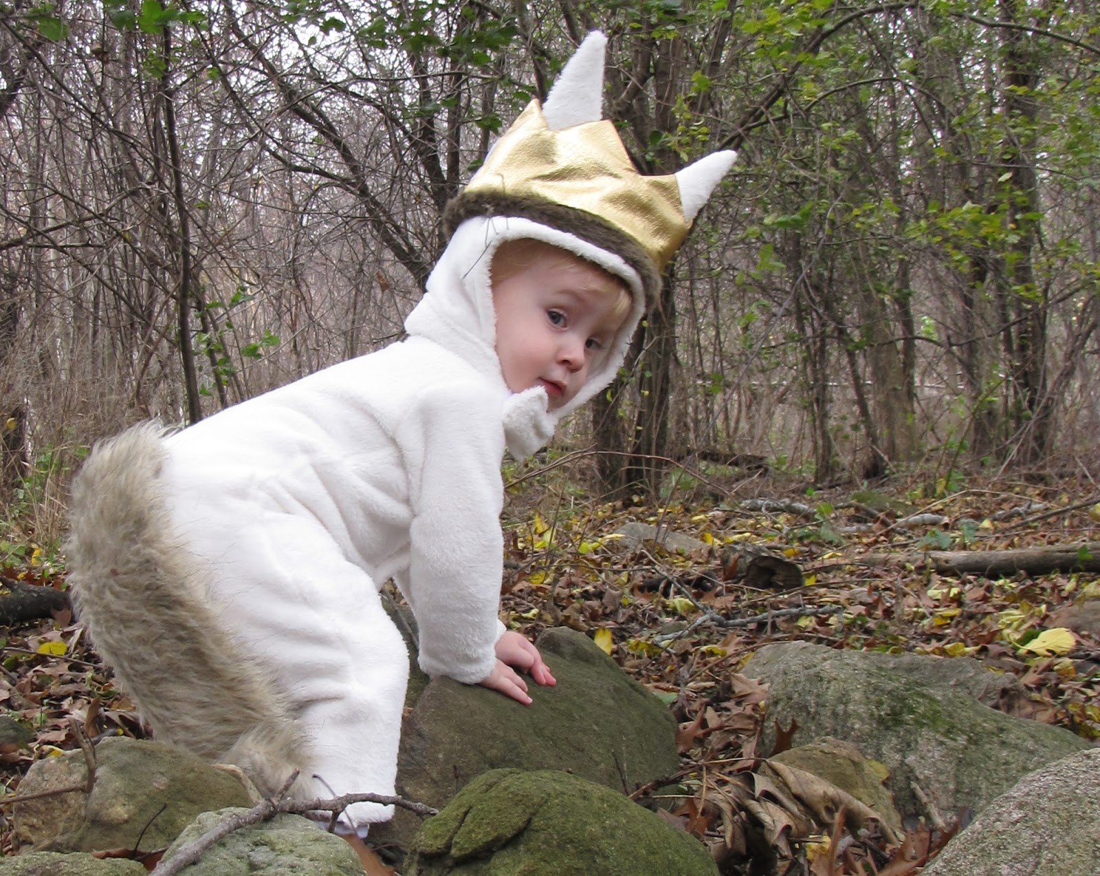 where the wild things are costume