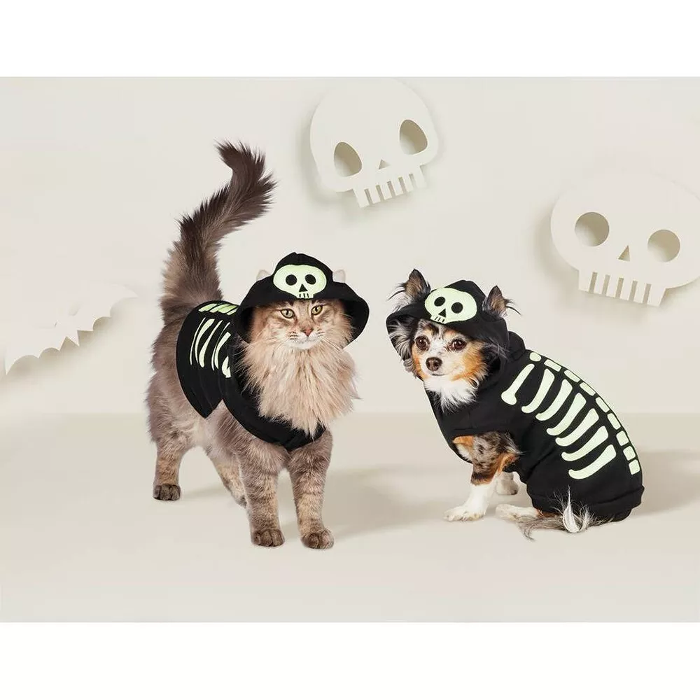 what percentage of pet owners intend to  dress up their pet in a costume for halloween?