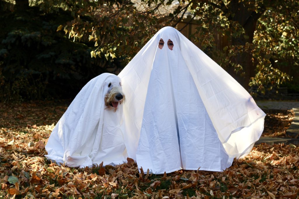 size sheet for ghost costume