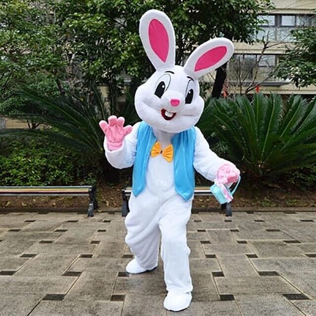 a mascot costume